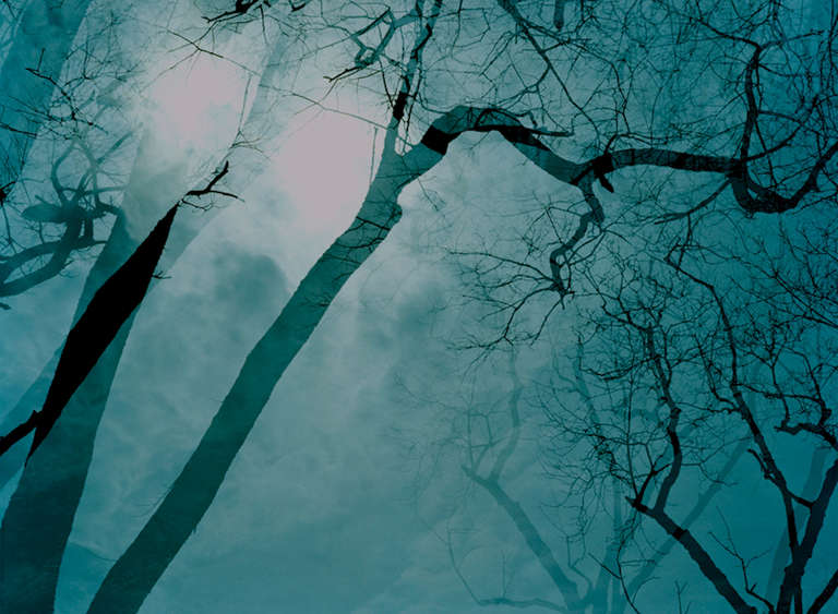 Leah Oates Color Photograph - Prospect Park 8