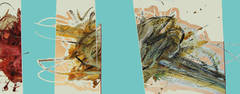 Untitled 2