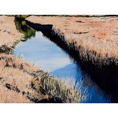 Behind the Thicket 10