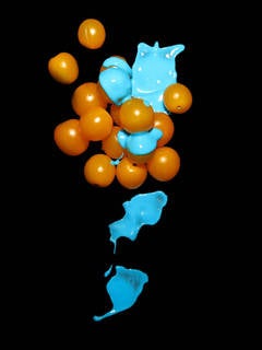 Frozen Moments of Domesticity series: Tomatoes