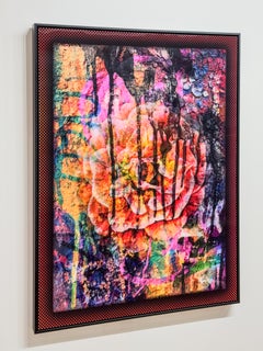 Back Alley Bloom, Original Photography, Floral, Magenta Dahlia, Lenticular