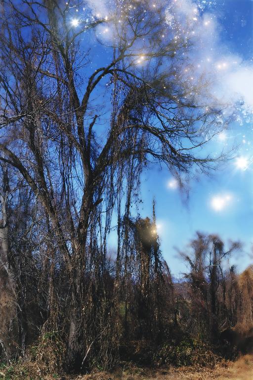 Lisa DiLillo Landscape Photograph - Forgotten for a Memory