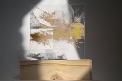 Lourdes Rivera, Retrospect 11, 2015, Tessuto, plexiglass, Wood, pittura a olio