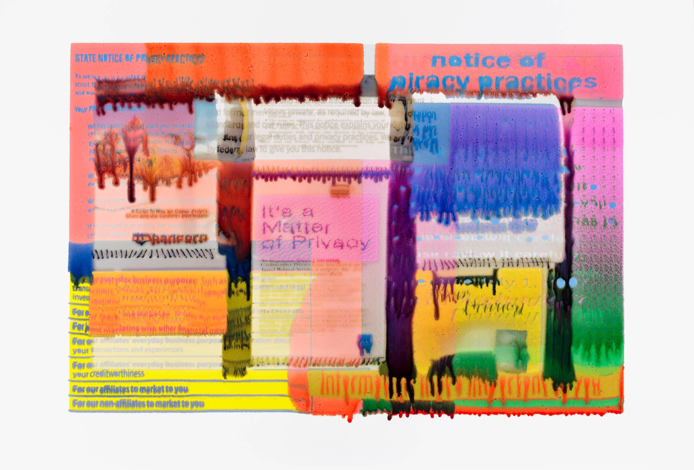 Jeff Becker, Política Privey, 2016, Impresión de pigmento de archivo