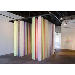 72 Colors Found Within One Year on the Yellow Trail 9