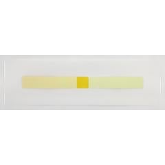 Lemon In Time, Fresh 12