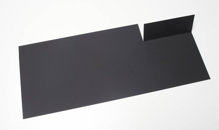 Janet Passehl Abstract Sculpture - Black flower room 3