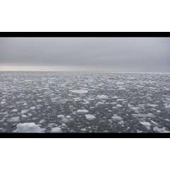 Ice Voices 1