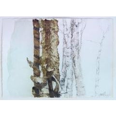 Peace Trees 1