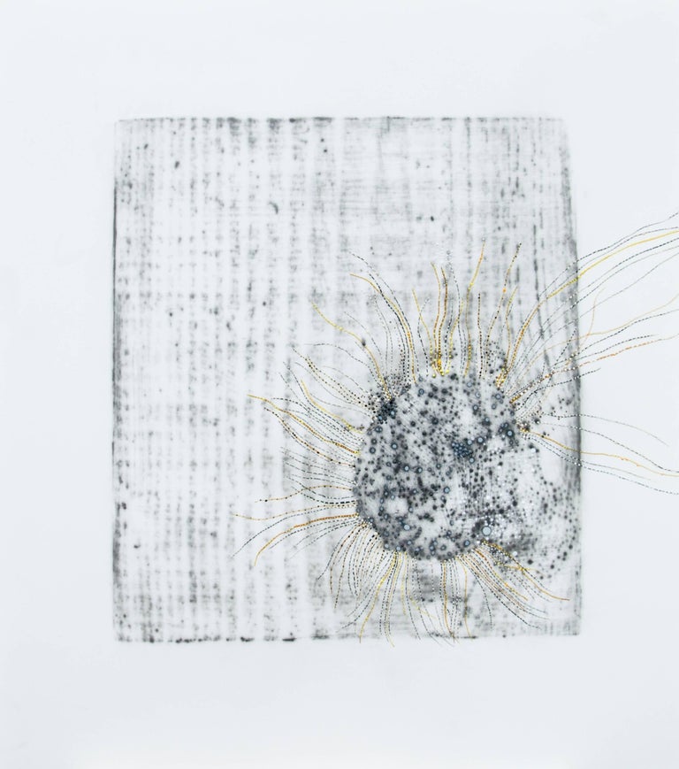 Alyse Rosner Abstract Drawing - Afterimage 12