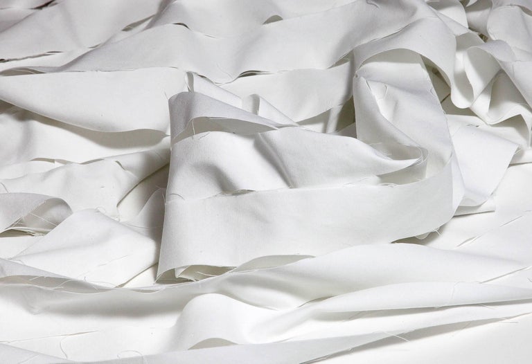 Janet Passehl, The White Grass_Detail, 2017, Fabric, Wood, Alkyd Paint - Sculpture by Janet Passehl