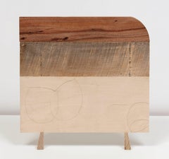 Emily Feinstein, Wood Drawing, 2016, Wood, Mahogany, Plywood