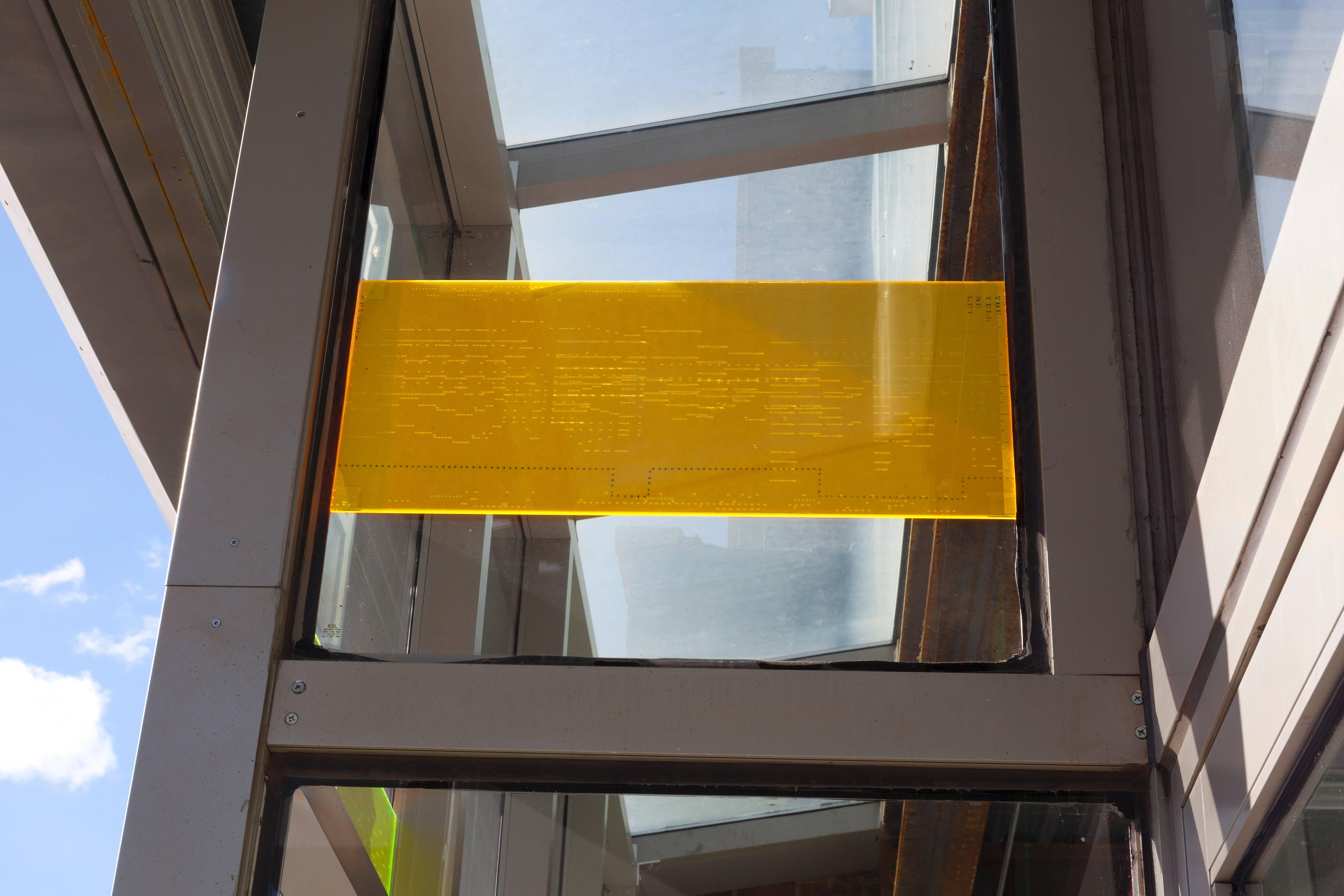 Jo Yarrington, Orchestrations, 2016, Found Objects, Plexiglass in vendita 3