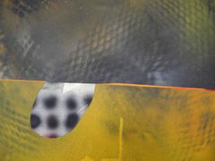 Jane Sangerman, Digit 53, 2016, Spray Paint, Acrylic Paint, Abstraction