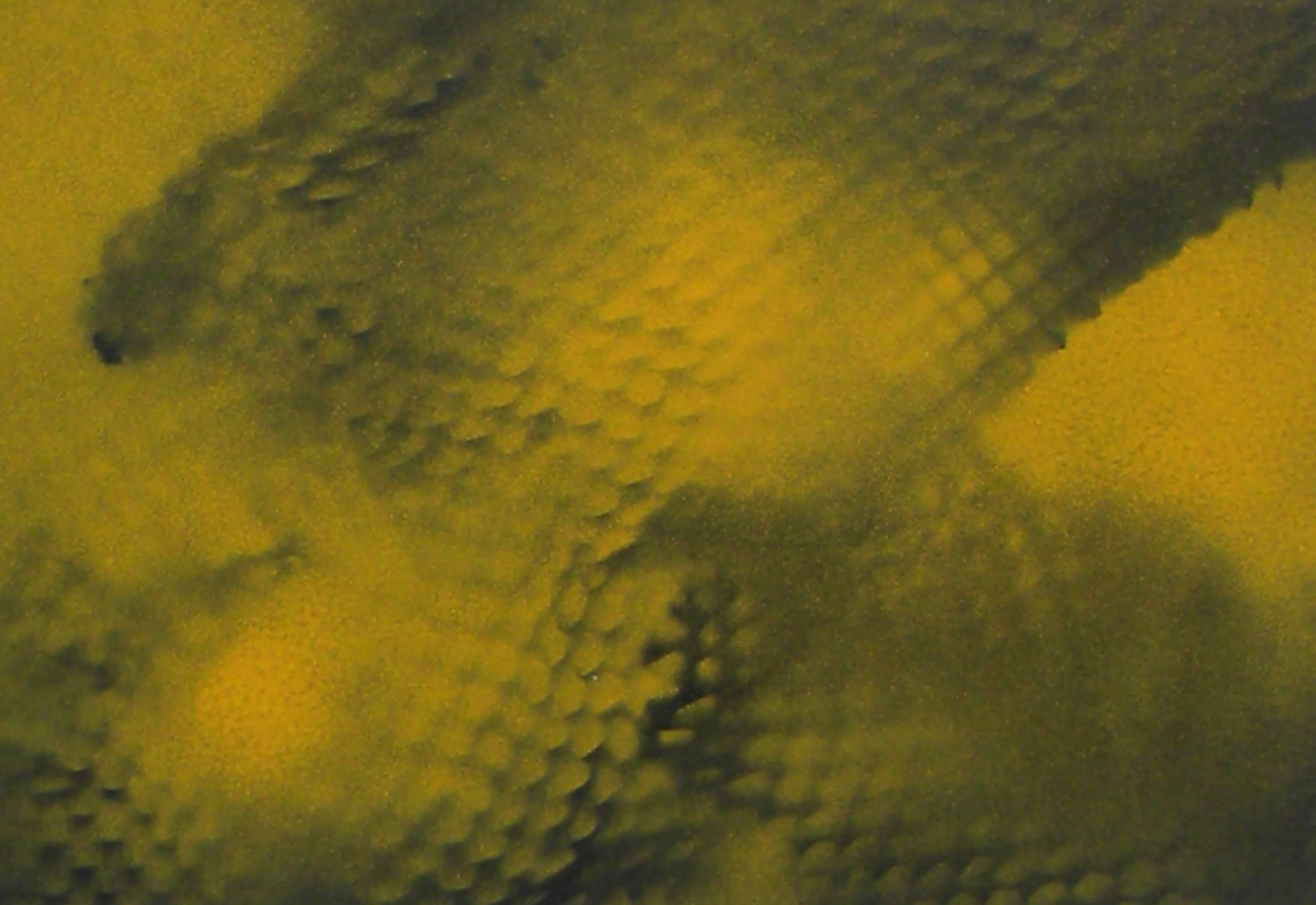 Jane Sangerman, Remnant 10, 2015, Oggetti trovati, vernice spray, pittura acrilica in vendita 2