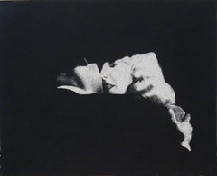 Ann Chernow, Noir II, 2016, Papel de trapo, Aguafuerte