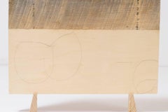Emily Feinstein, Wood Drawing, 2016, Wood, Mahogany, Plywood