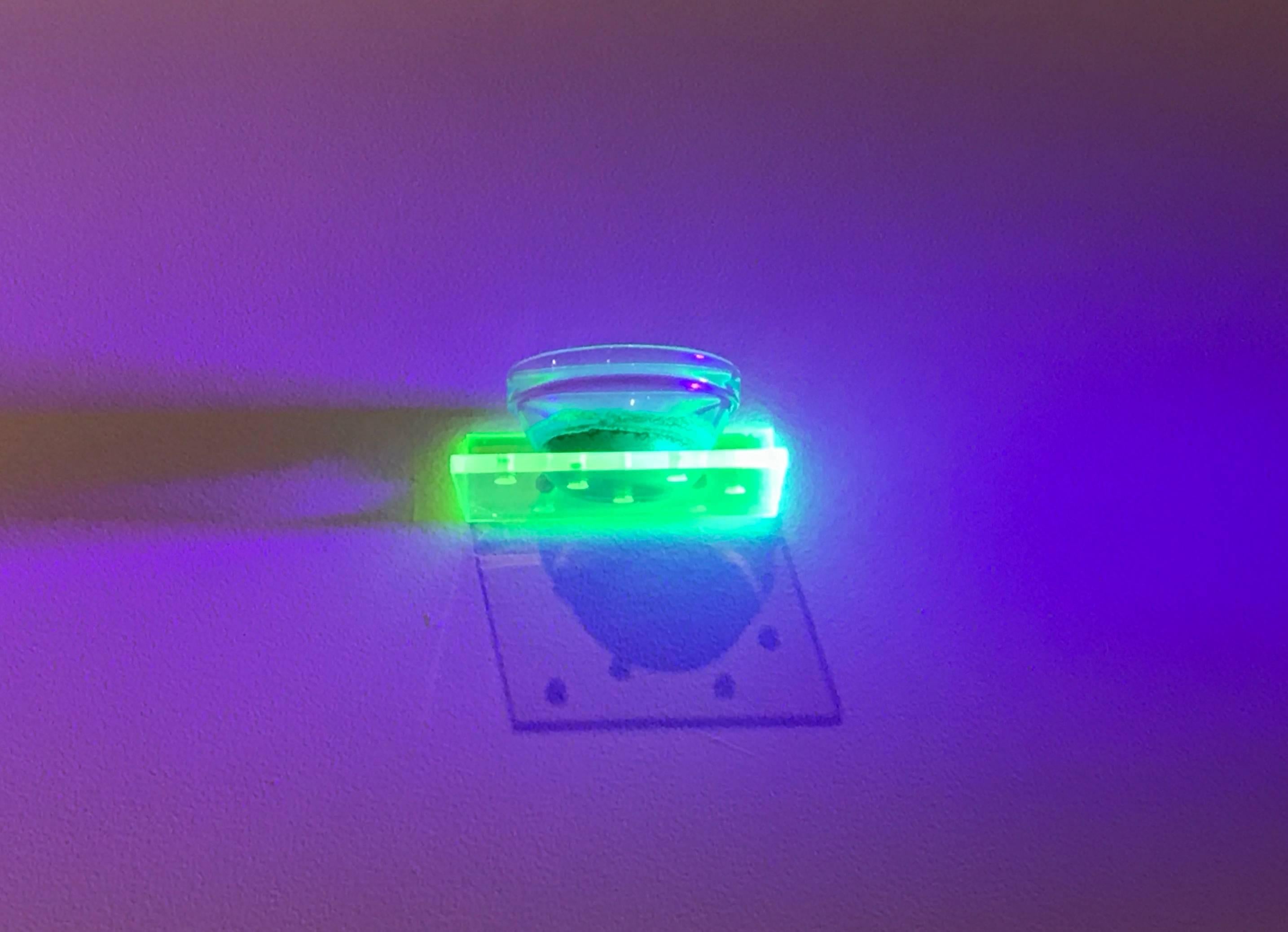 Diese Installation stellt ein Tauchbecken vor, das die Radium Girls an ihrem Arbeitsplatz gehabt haben könnten. Dieses Objekt, das mit Schwarzlicht beleuchtet wird, um das Neonlicht hervorzuheben, vermittelt einen modernen Blick auf die Ausrüstung,