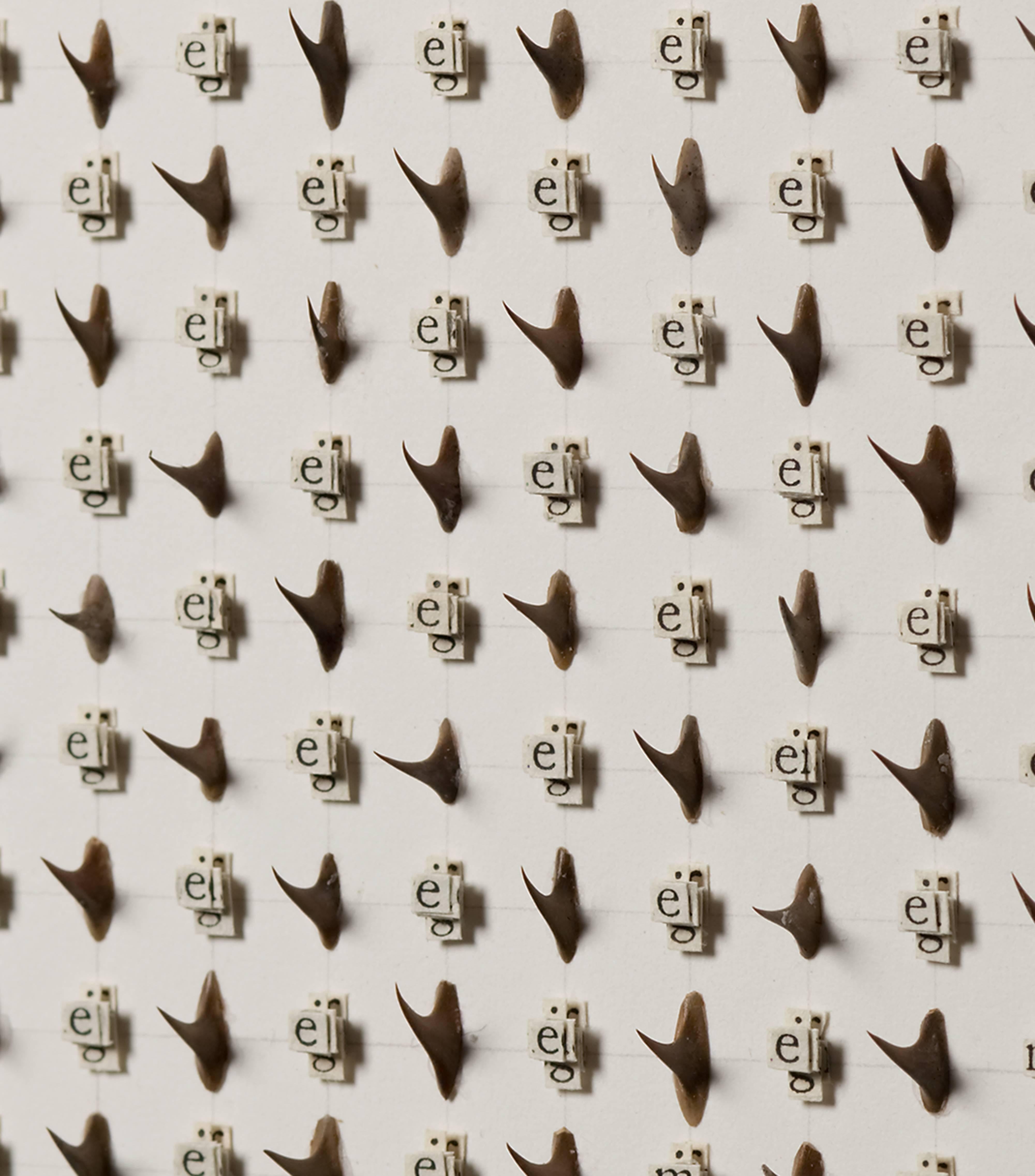 Meg Hitchcock works with sacred texts, cutting letters and combining them to create intricate designs. Her work addresses the limitations of language and interpretation, and questions the exclusivity of fundamentalist belief systems. Letters are cut