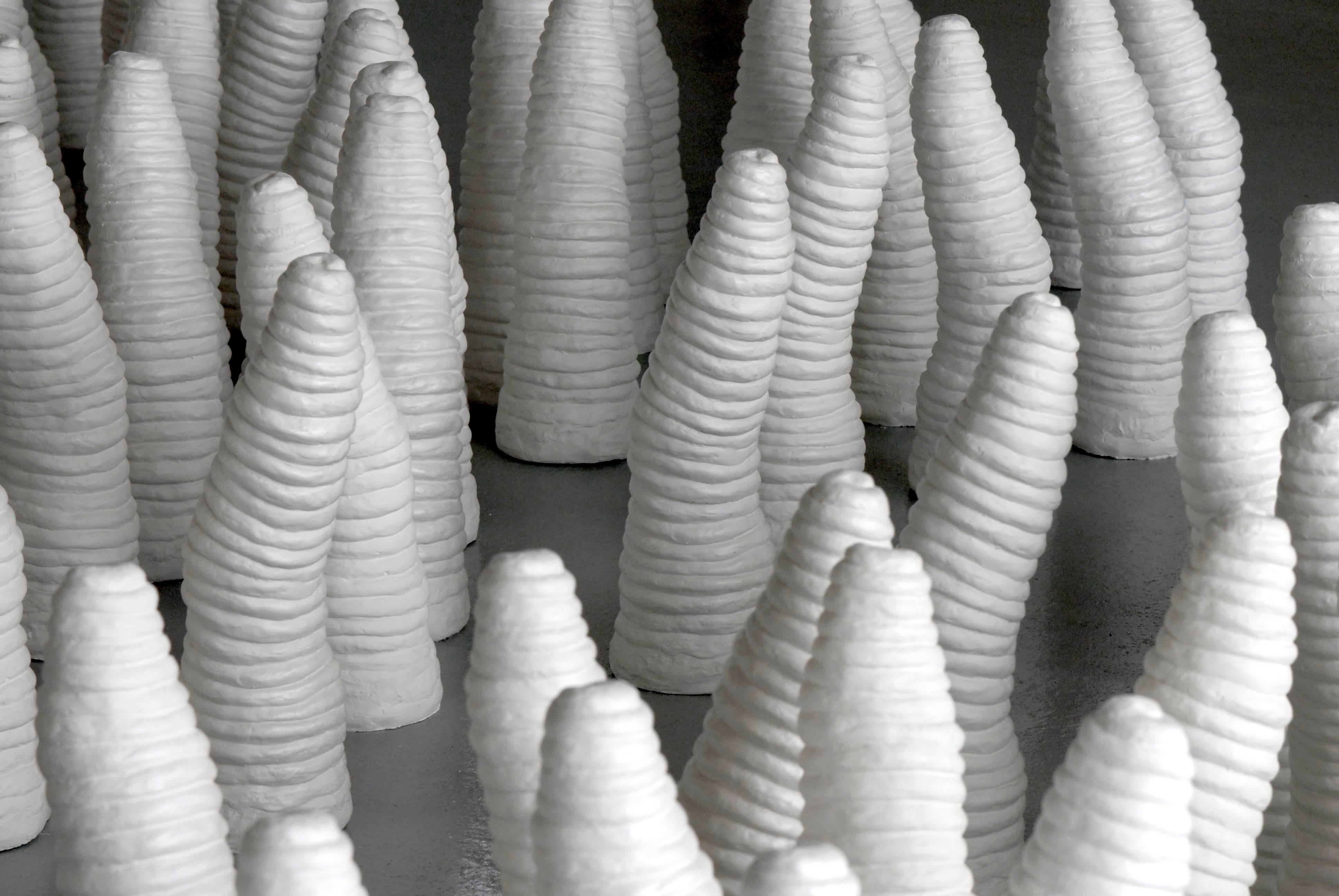 In Sylvia Schwartz' structures, silicone molds are cast from both natural and hand-made forms, including clay coils, volcanic rock patterns, seaweed, and her own fingerprints.

The human trace is apparent through the repetition of shapes and