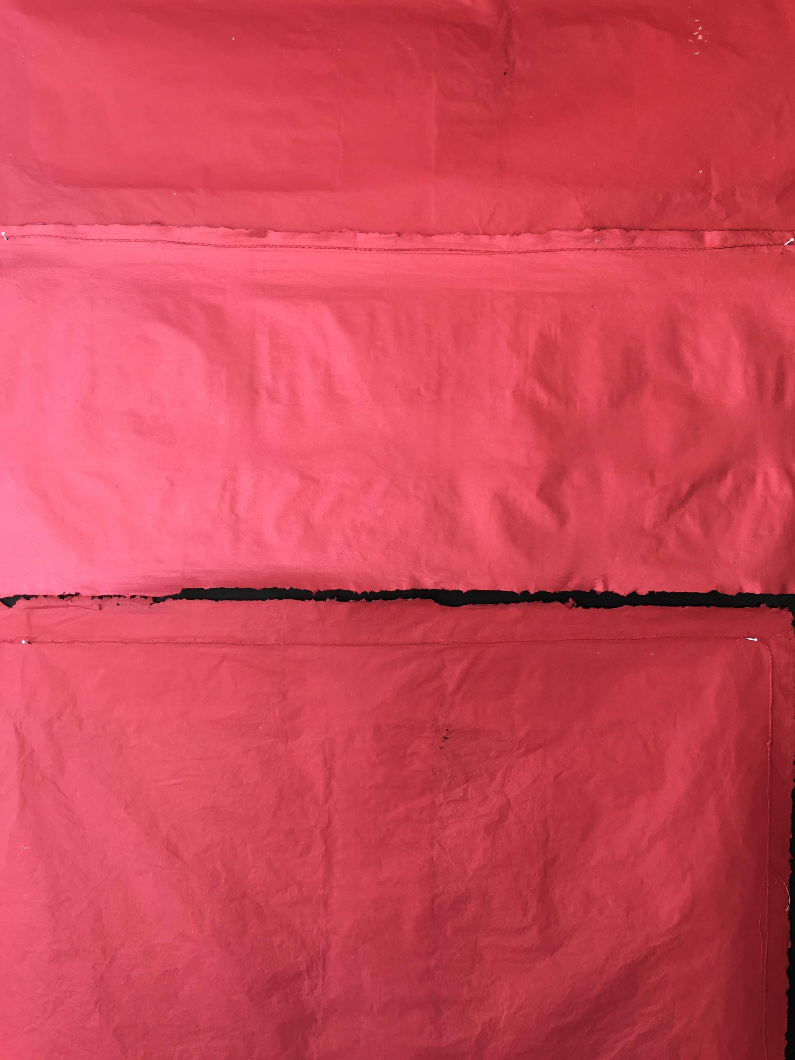Sylvia Schwartz, „Red Plane“, 2016, Faden, Masonit, Acrylfarbe, Minimalistisch im Angebot 7
