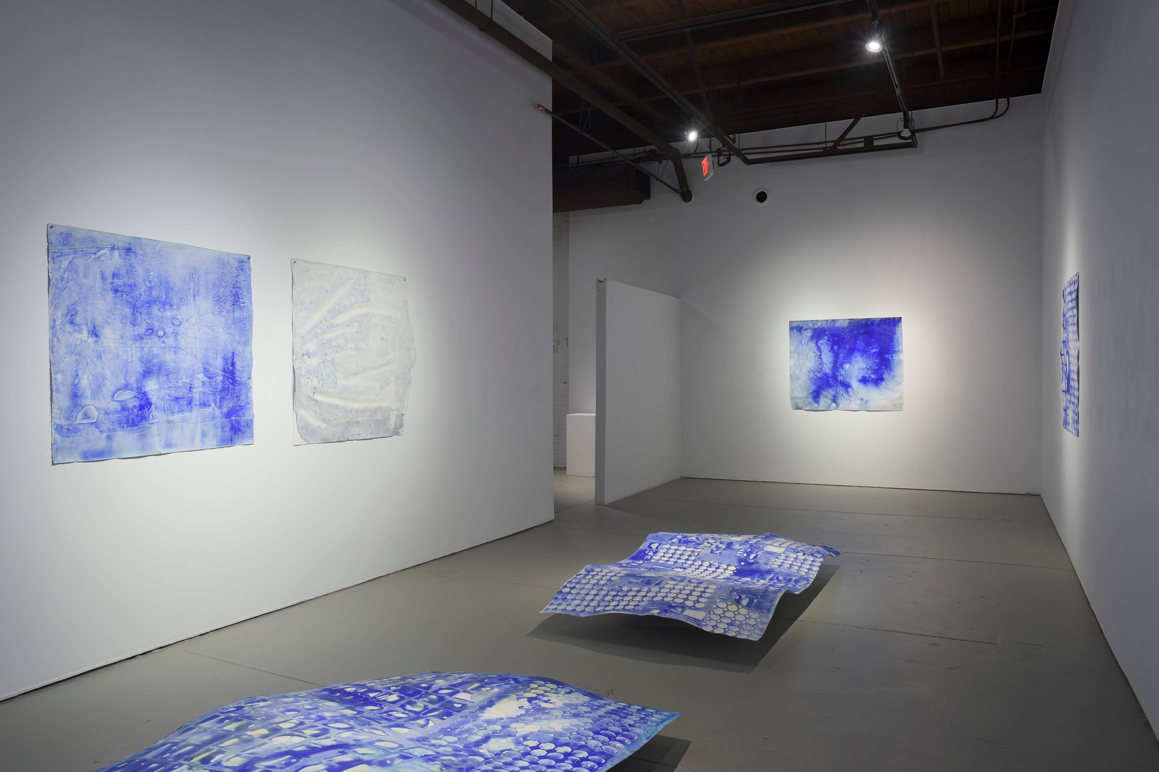 Ellen Hackl Fagan, Seeking the Sound of Cobalt Blue_Oceanic Plastic, 2015 For Sale 1