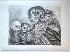 Christine McGinnis - Cárabo común y polluelos, litografía sobre papel verjurado. Firmada/N
