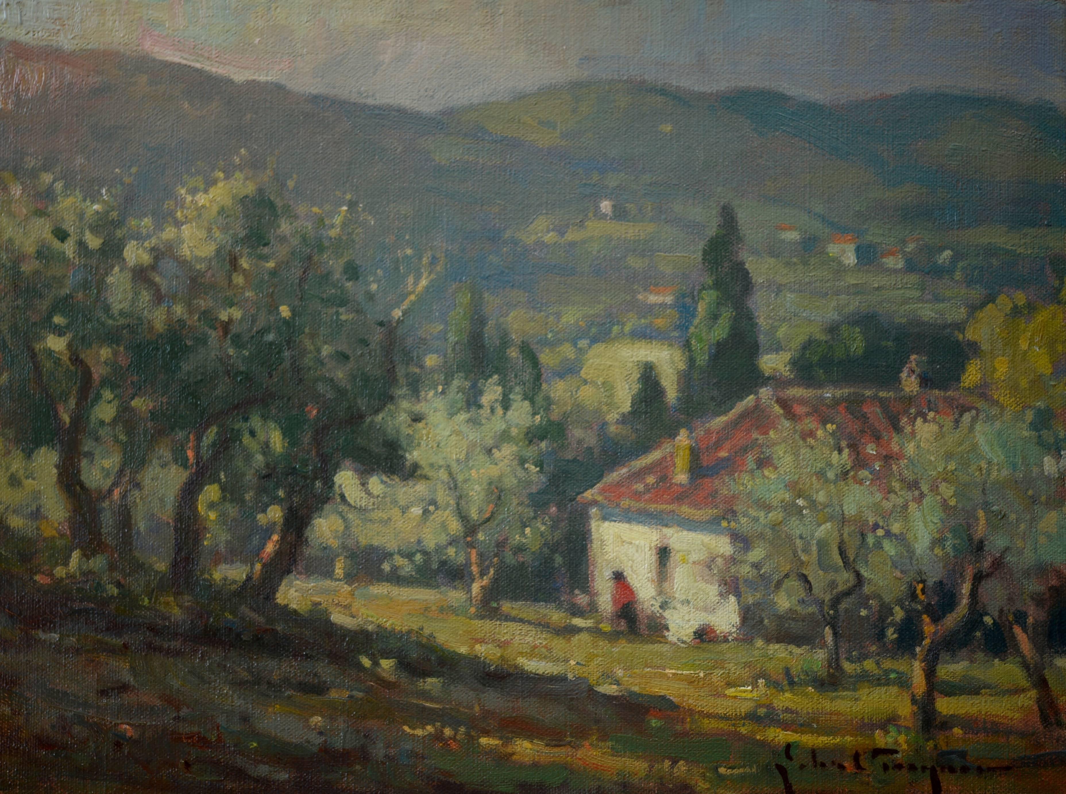 John C. Traynor Landscape Painting - Olive Grove, Tuscany