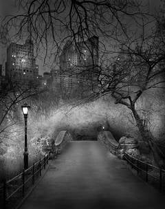 Gapstow Bridge, Deep in a Dream - Central Park series