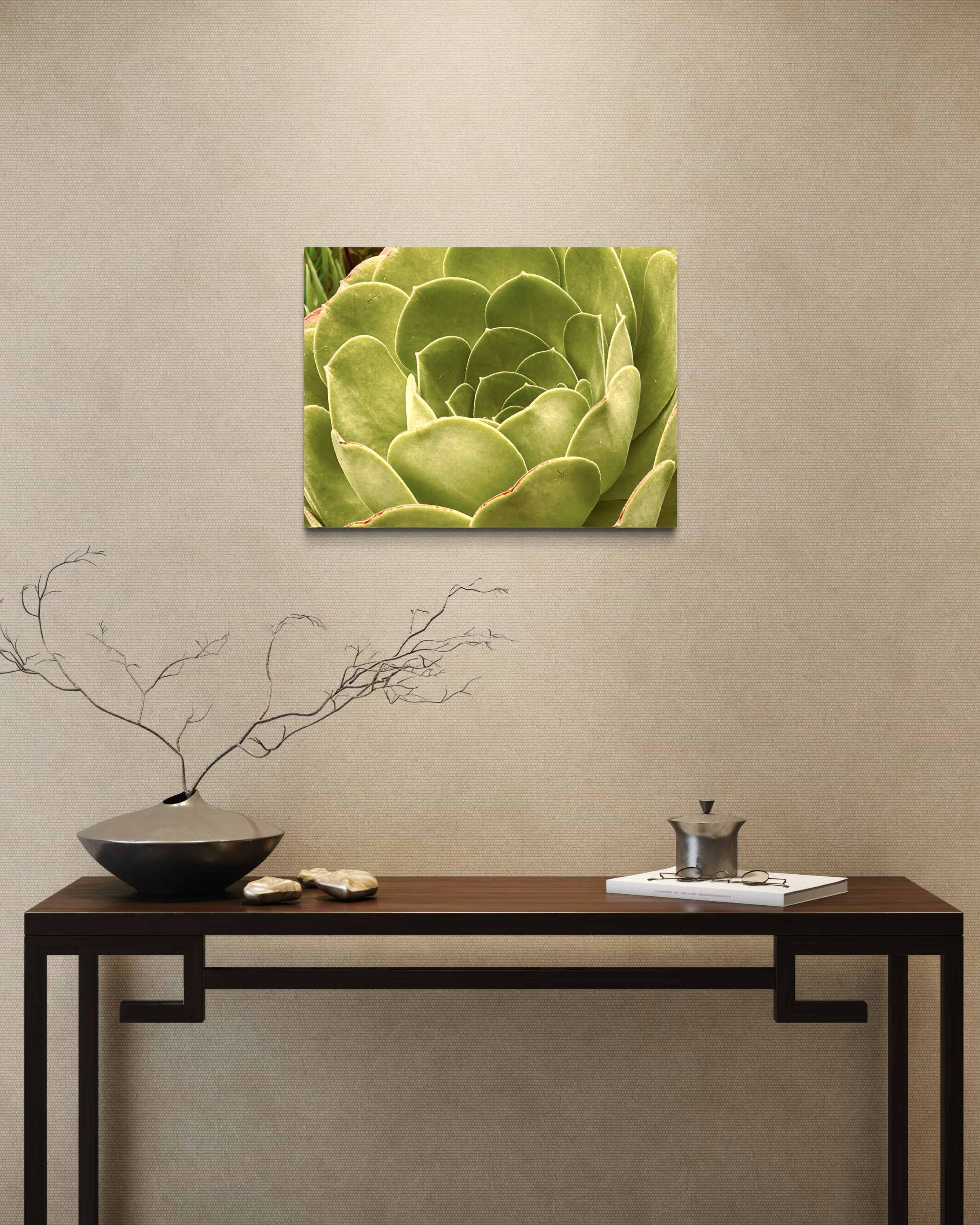 Whispering Green - Photographie d'art botanique contemporaine mettant en scène des plantes succulentes