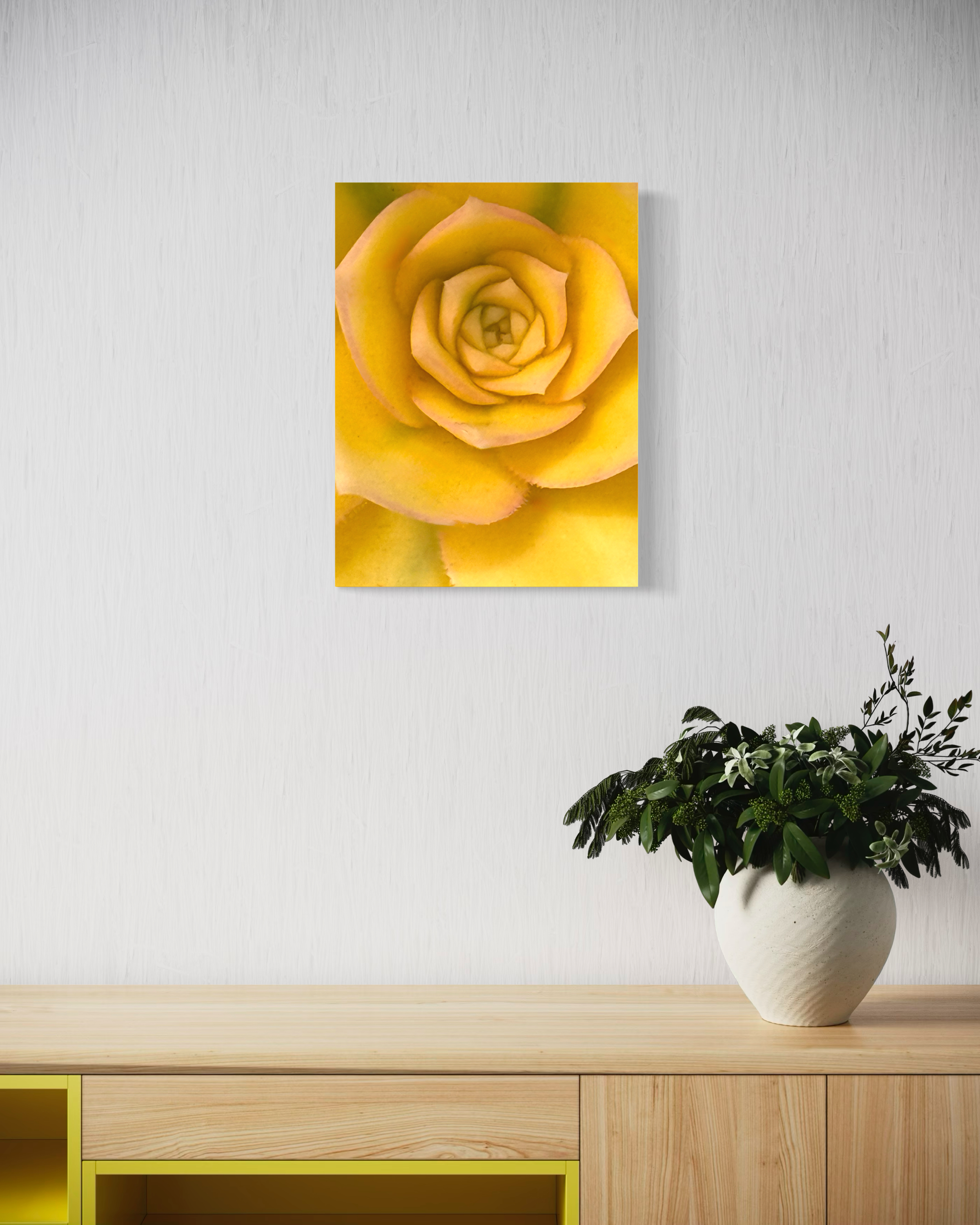 Gilded Bloom - Contemporary Succulent Botanical Fine Art Photography