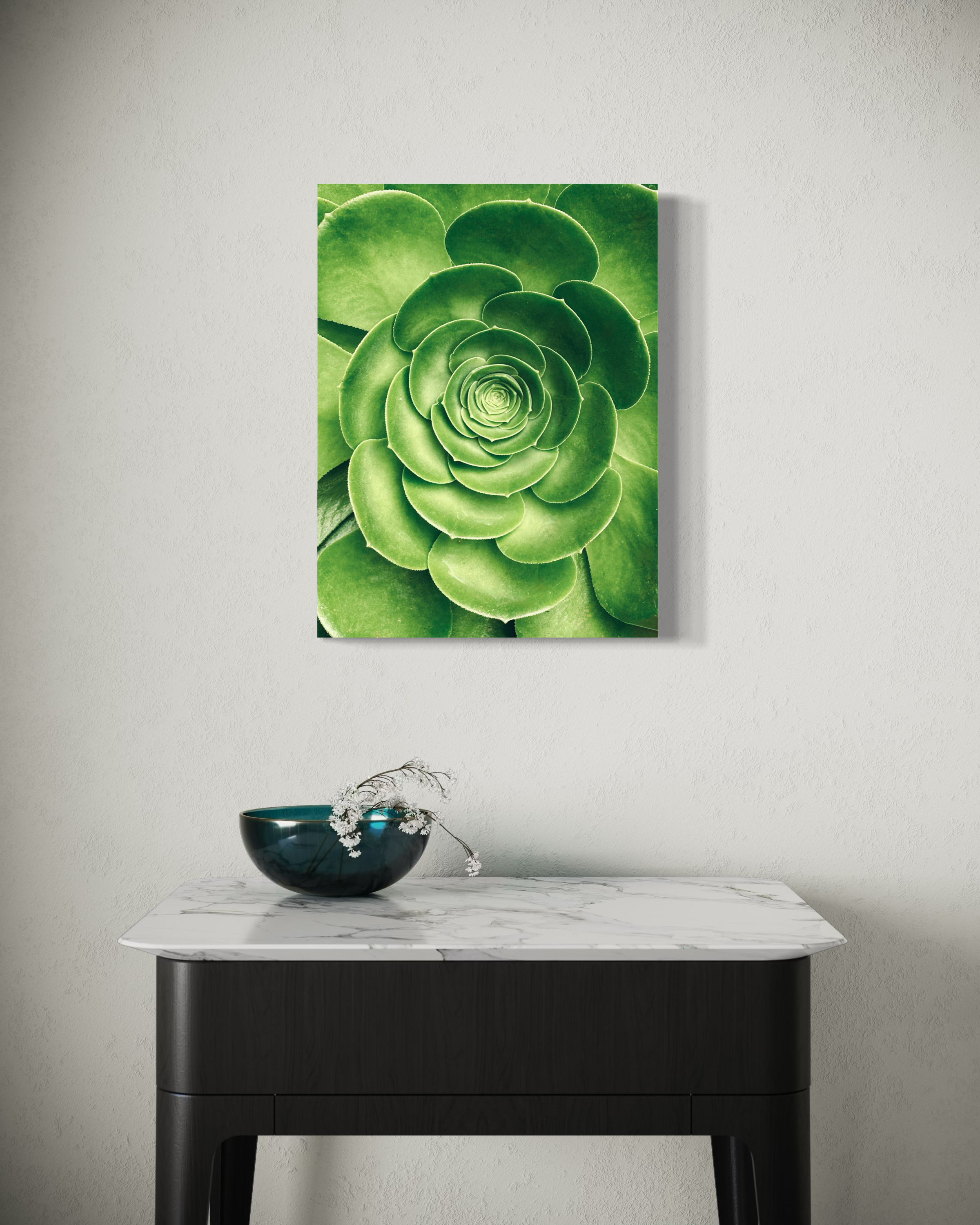 Emerald Spiral - Fotografia artistica contemporanea di piante grasse