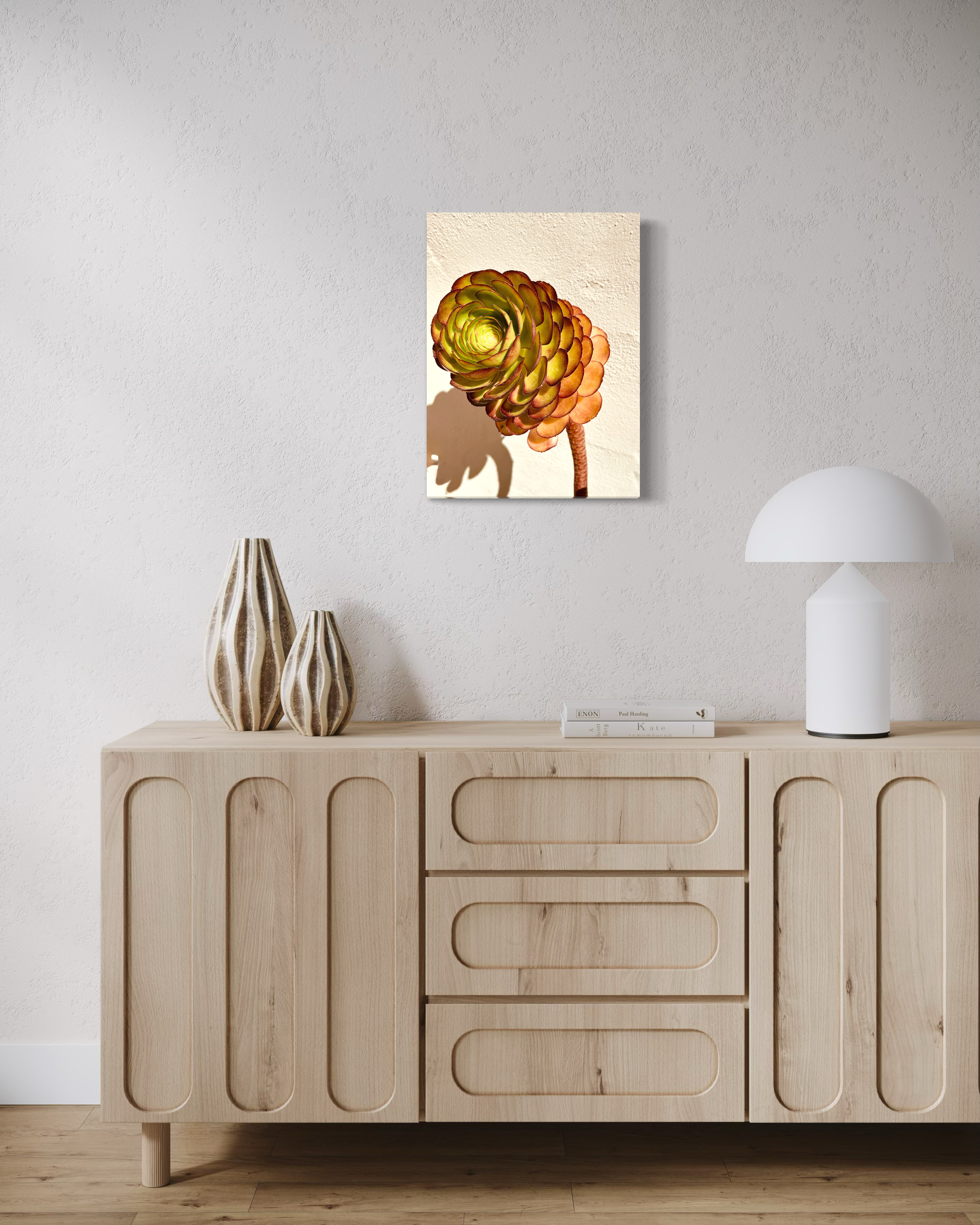 Silent Shadow - Contemporary Succulent Botanical Fine Art Photography