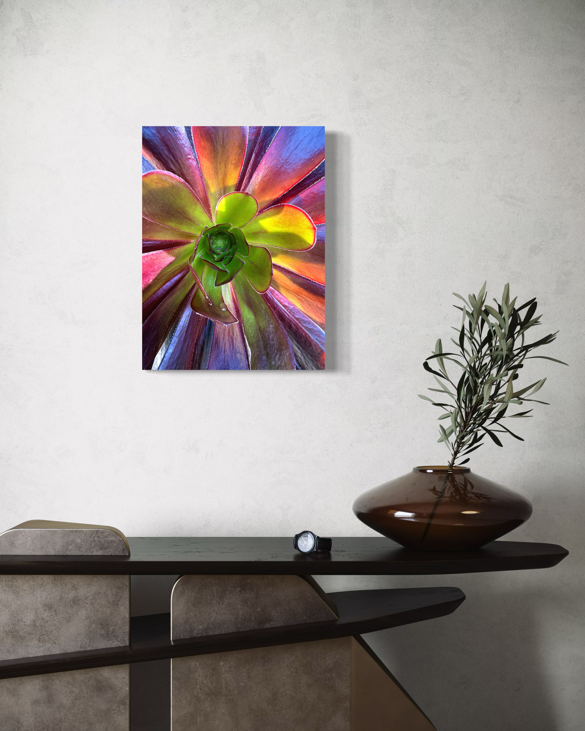Garden Prism - Photographie d'art botanique contemporaine mettant en scène des plantes succulentes aux couleurs vives