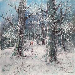 a winter scene in the forest