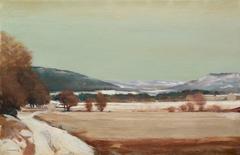 a view of Drome in France during winter