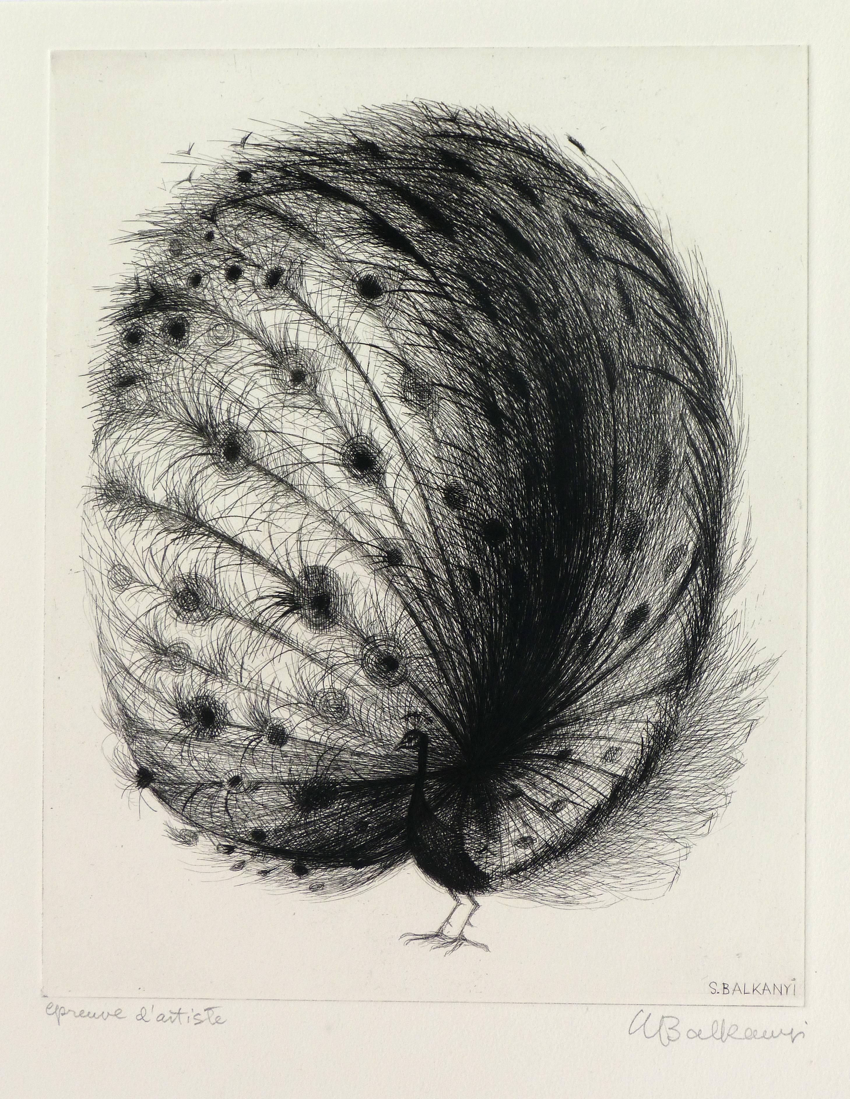 Suzanne Balkanyi Animal Print - The Peacock