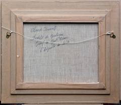 Le Massif du Mont Blanc et l'Aiguille du Midi