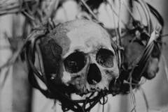 Tribes Iban Bornéo, tête de mort ( skull ), 1965