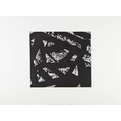 White Chip - Composition in black and white 6