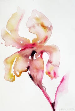 Untitled (Fuchsia FLower)