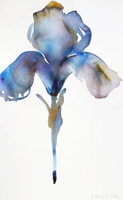 Untitled (Ultramarine Iris)