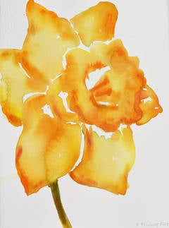 Daffodil