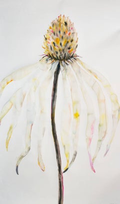 Large Petals