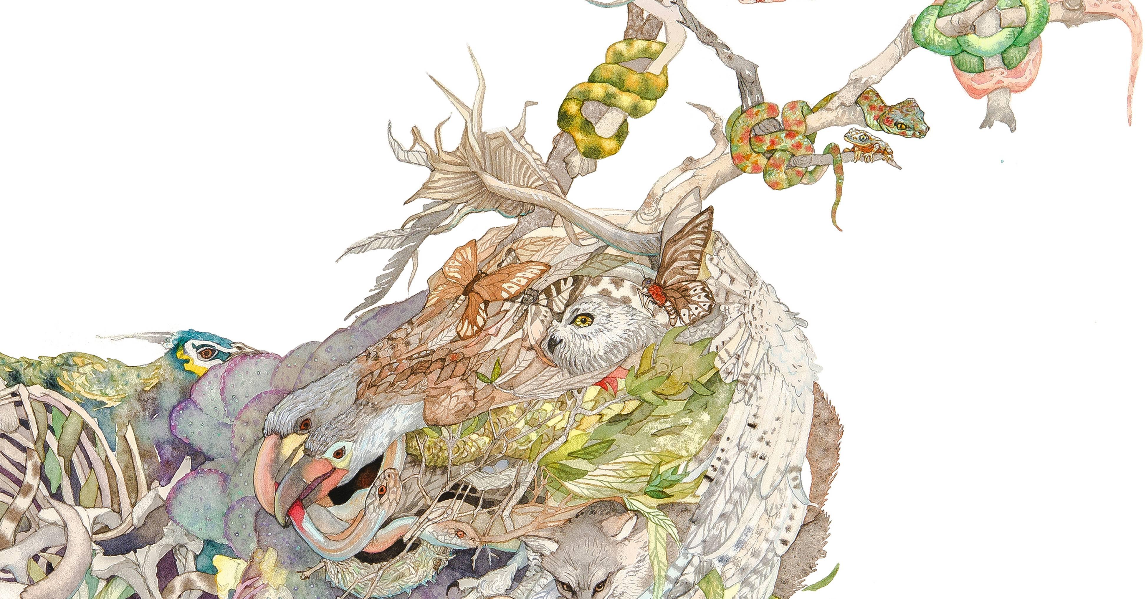 The creatures populating Ball’s watercolors emerge from the psyche as surging masses of life, death, and subconscious urges. Composed of plant and animal parts that seem held together magnetically or through a magical willpower, the animals function