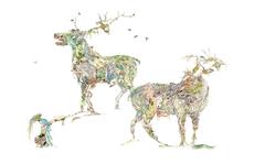 The Caribous 11