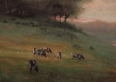 Pasture Sunset, John 5:35 4