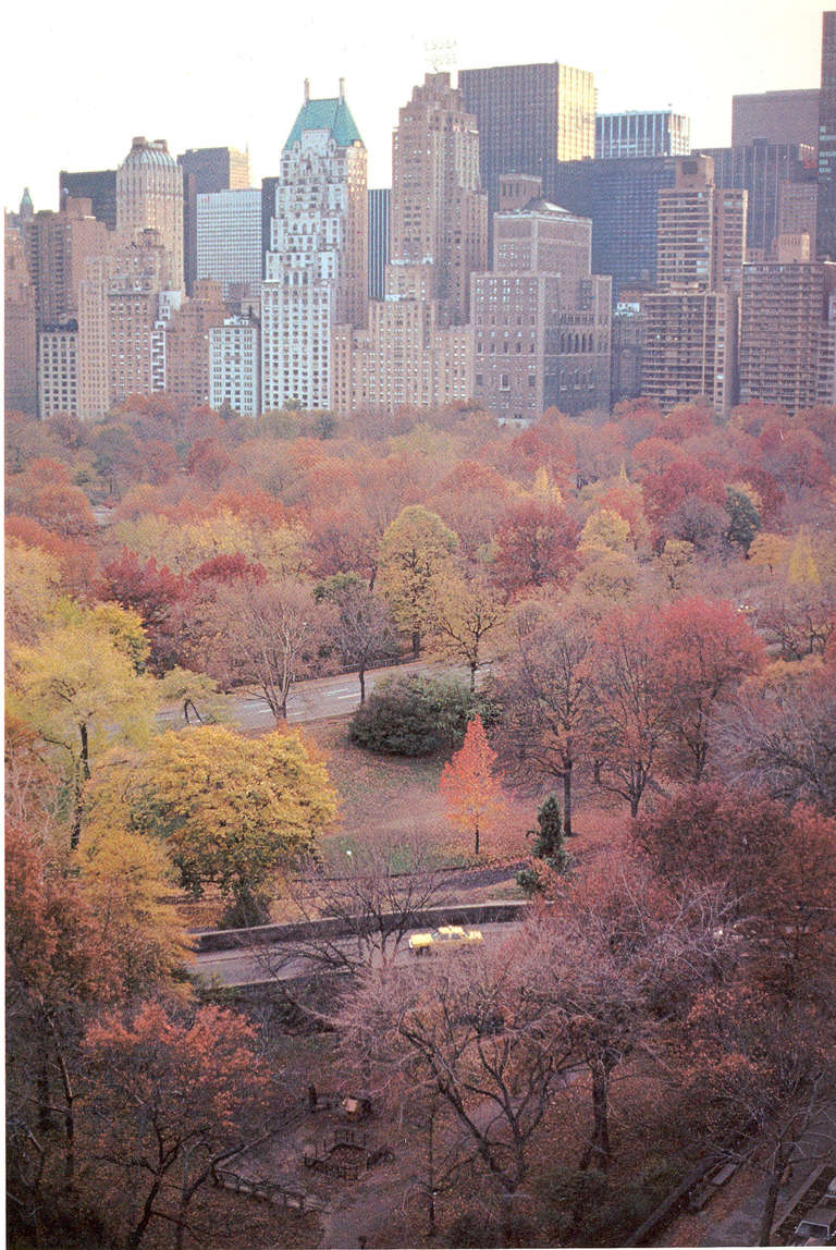 Ruth Orkin Muted Autumn at 1stDibs