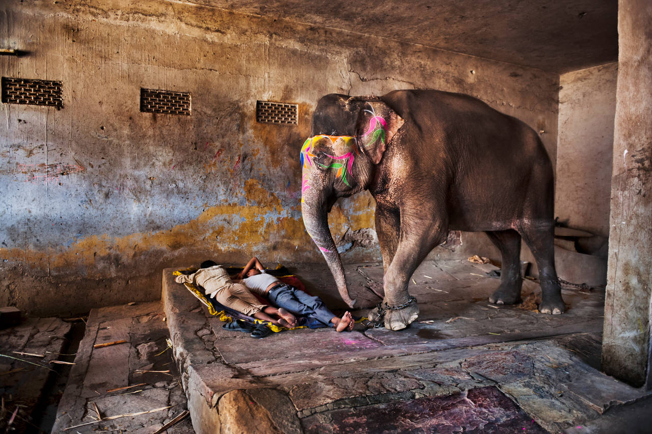 Elephant with Sleeping People - Photograph by Steve McCurry