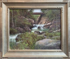 „The Lower Flume“ – Landschaftsbild aus den Adirondacks von Don Demers